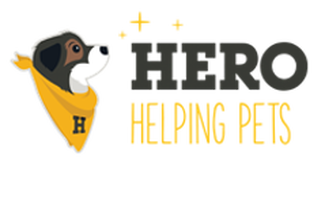 Hero Braces  Logo